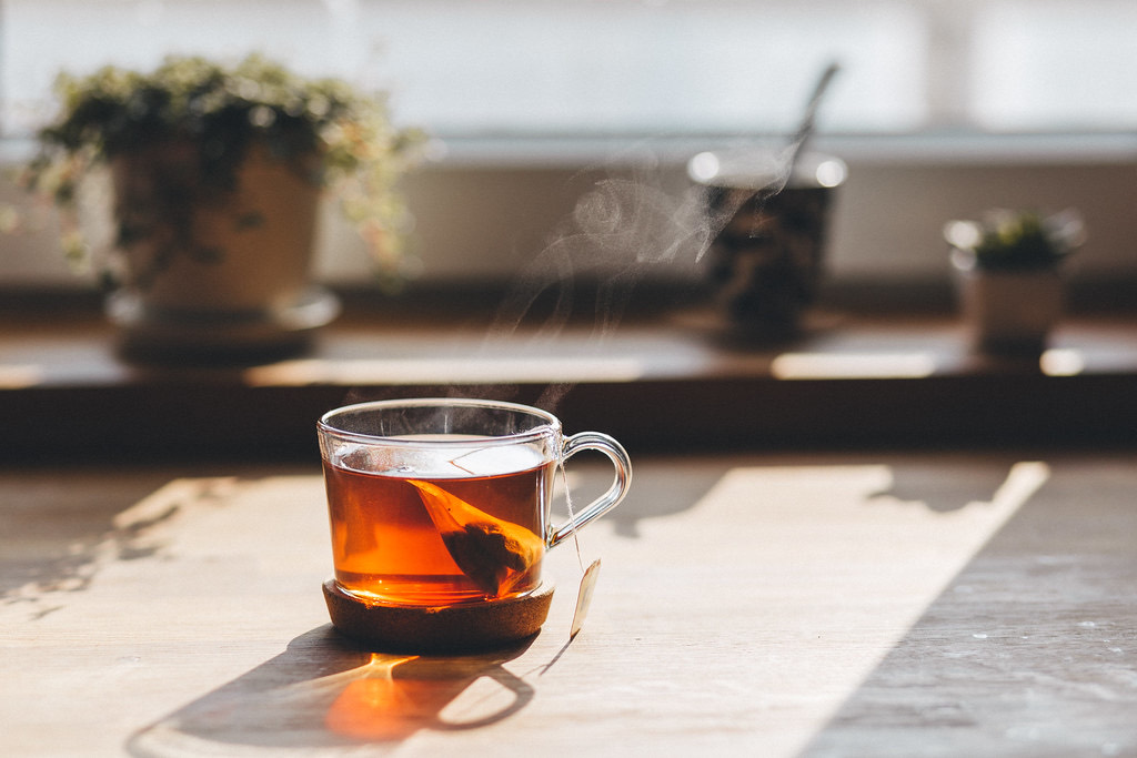 Morning light falling across a windowsill with a warm cup of tea and small potted plants
